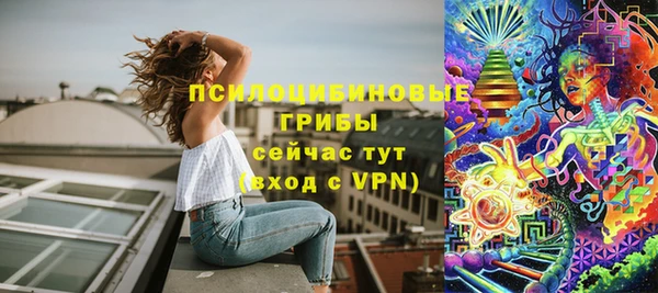 твердый Семилуки