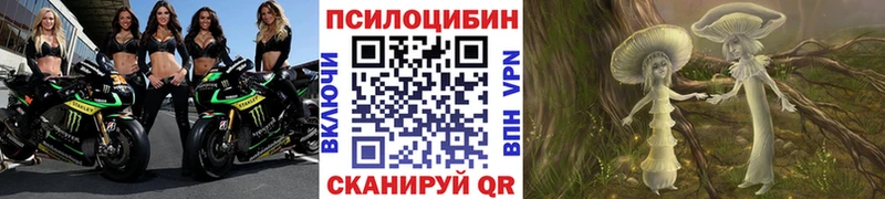 MEGA маркетплейс Краснослободск Псилоцибиновые грибы Cubensis